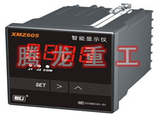 溫度表、數(shù)字顯示儀、濕度表